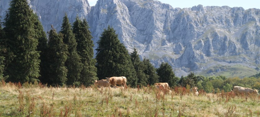 Excursión al Parque Natural del&nbsp;Urkiola